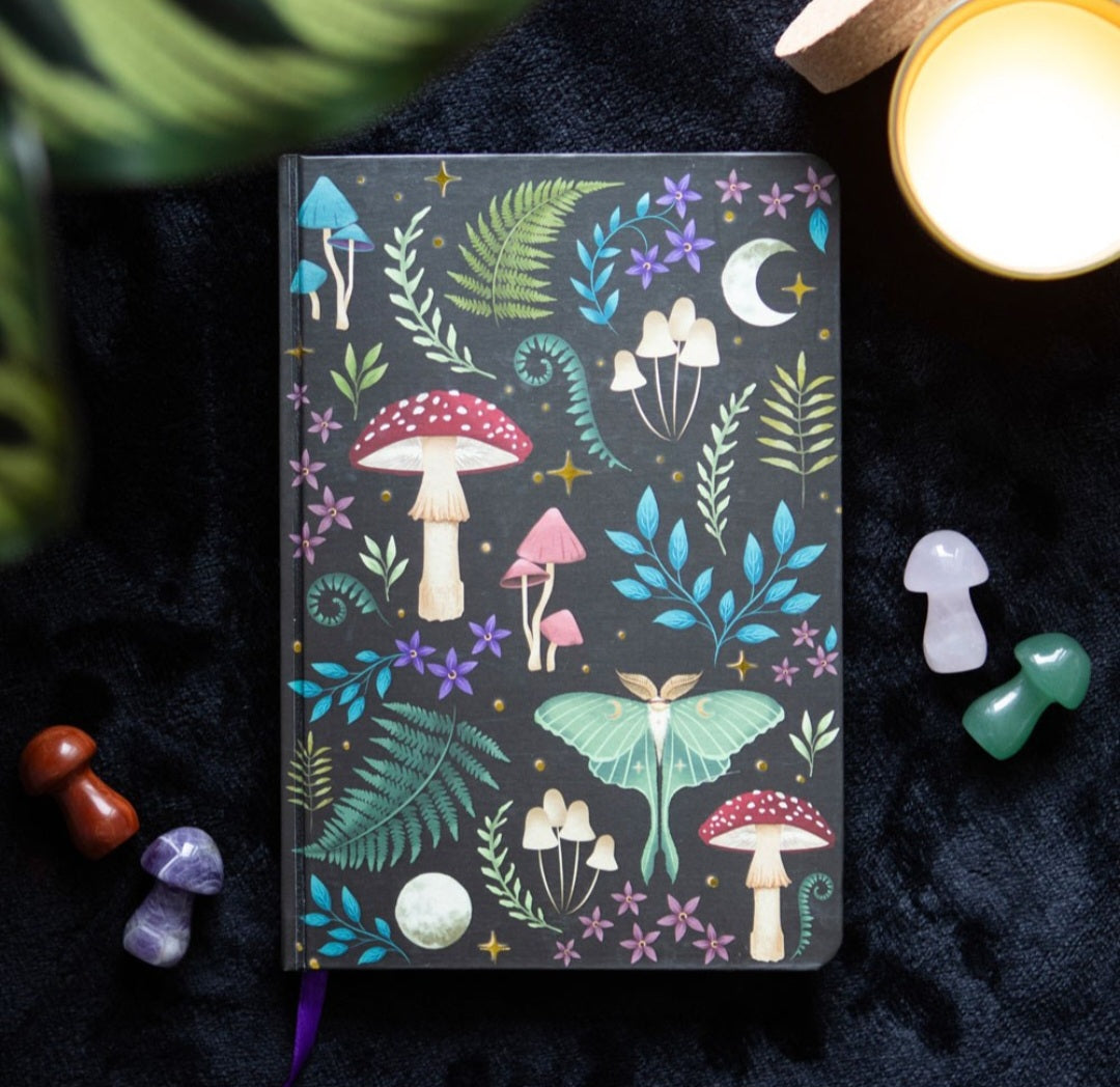 Dark Forest Notebook